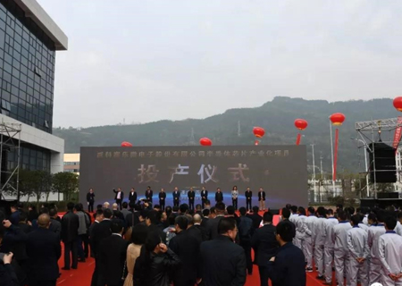 VSport-胜利微电子股份有限公司半导体芯片产业化项目投产仪式